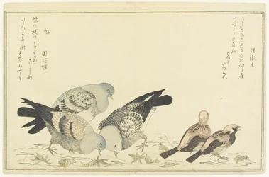 Veréb és sziklagalamb, c. 1790